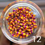 (KK) Stintinė Avižėlė Nr.12