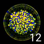 (KK) Stintinė Avižėlė Nr.12 - Image 2