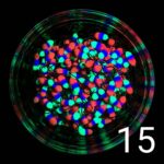 (KK) Avižėlė Nr.15 - Image 2