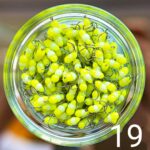 (KK) Stintinė Avižėlė Nr.19