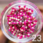 (KK) Avižėlė Nr.23