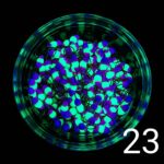 (KK) Stintinė Avižėlė Nr.23 - Image 2