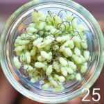 (KK) Stintinė Avižėlė Nr.25