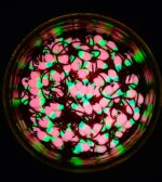 Šviečianti (KK) avižėlė plekšnėms NR. 1 D - Image 2