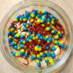 Šviečianti (KK) avižėlė plekšnėms NR. 2 D