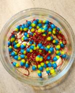 Šviečianti (KK) avižėlė plekšnėms NR. 2 D