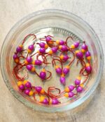 Šviečianti (KK) avižėlė plekšnėms NR. 7 D