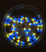 Šviečianti (KK) avižėlė plekšnėms NR. 7 D - Image 2