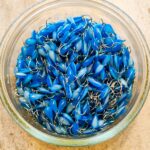 Avižėlė (KK-lašas) 11 F