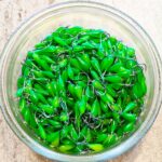 Avižėlė (KK-lašas) 12F