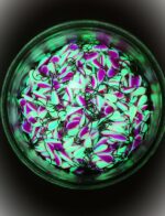 Avižėlė (KK-lašas) 15 F - Image 2