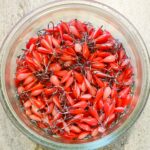 Avižėlė (KK-lašas) 16 F