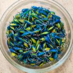 Avižėlė (KK-lašas) 20 F