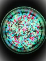 Avižėlė (KK-lašas) 2 F - Image 2