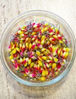 Avižėlė (KK-lašas) 6 F