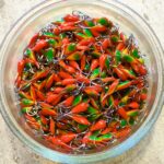 Avižėlė (KK-lašas) 8 F