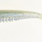 <font style="vertical-align: inherit;"><font style="vertical-align: inherit;">Tricky Baits Flexy 6 colių 15 cm</font></font>