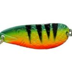 Blizgė Šventoji 18 gr