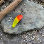 Blizgė Zumpytė 22 gr