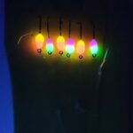 Ežrinė stintinė sistemėlė 5ES