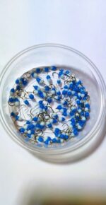 Stintinės ežerinės  avižėlės 2E