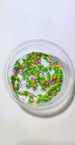 Stintinės ežerinės  avižėlės 5E