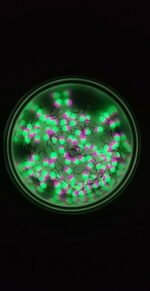 Stintinės ežerinės  avižėlės 6E - Image 2