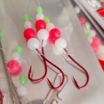 Plekšninė sistema KUJIRA