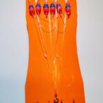 (KK) Stintinė sistemėlė 24 k