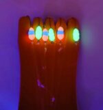 (KK) Stintinė sistemėlė Nr.31 - Image 2