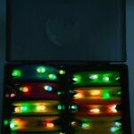 Stintininių sistemėlių rinkinys 10vnt. Nuo ledo - Image 2